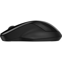 HP 250 Dual Mode Wireless Mouse EURO