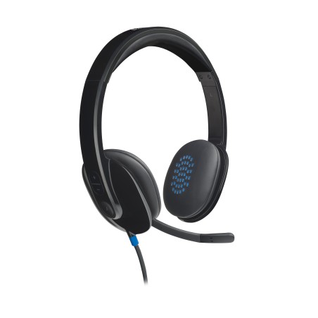 Logitech H540 USB Computer Headset - N A - EMEA-914