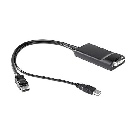 SPS-CADSPLYPORT(DP) TO DVI-DUAL LINK