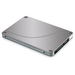 SPS-SSD SED SATA 256GB 25 WS