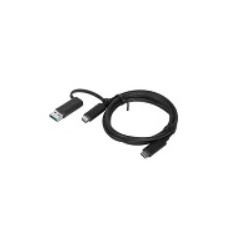 Lenovo Hybrid USB-C with USB-A Cable