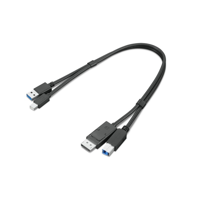 ThinkStation mDP + USB-A 30 to DP + USB-B 30 Dual Head Cable