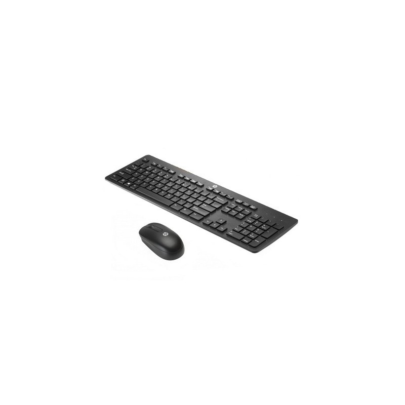 HP Wireless KB DNGL Mouse Win8