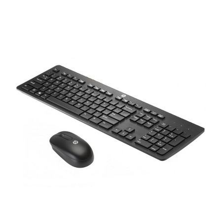 HP Wireless KB DNGL Mouse Win8