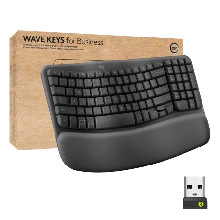 Logitech Wave Keys for Business - GRAPHITE - FRA - CENTRAL-419