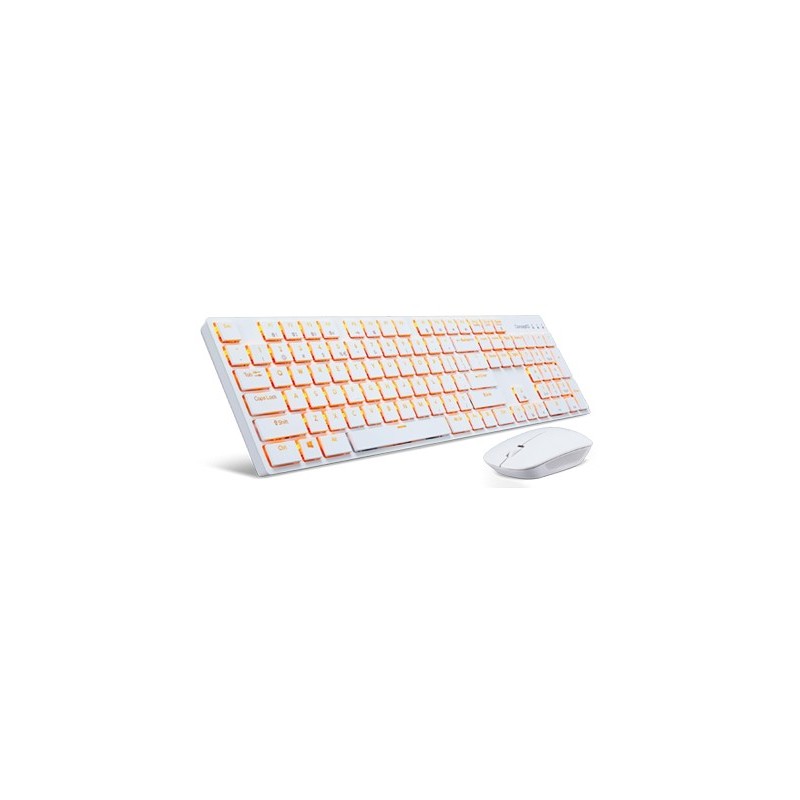 Concept D Combo set  DKR010 BT KB white US international  DMR900 BT mouse white (Retail Pack)